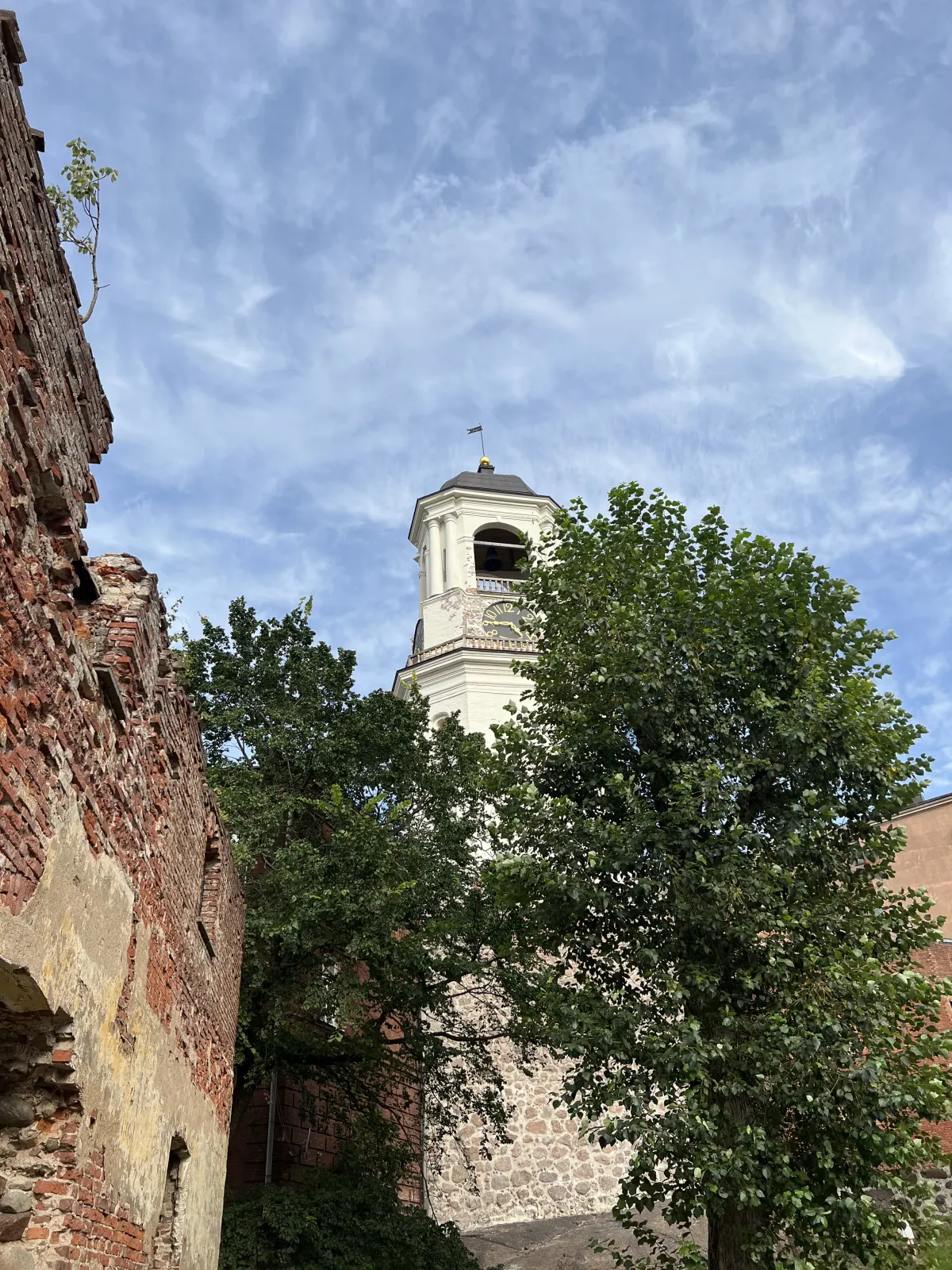 Выборг 9